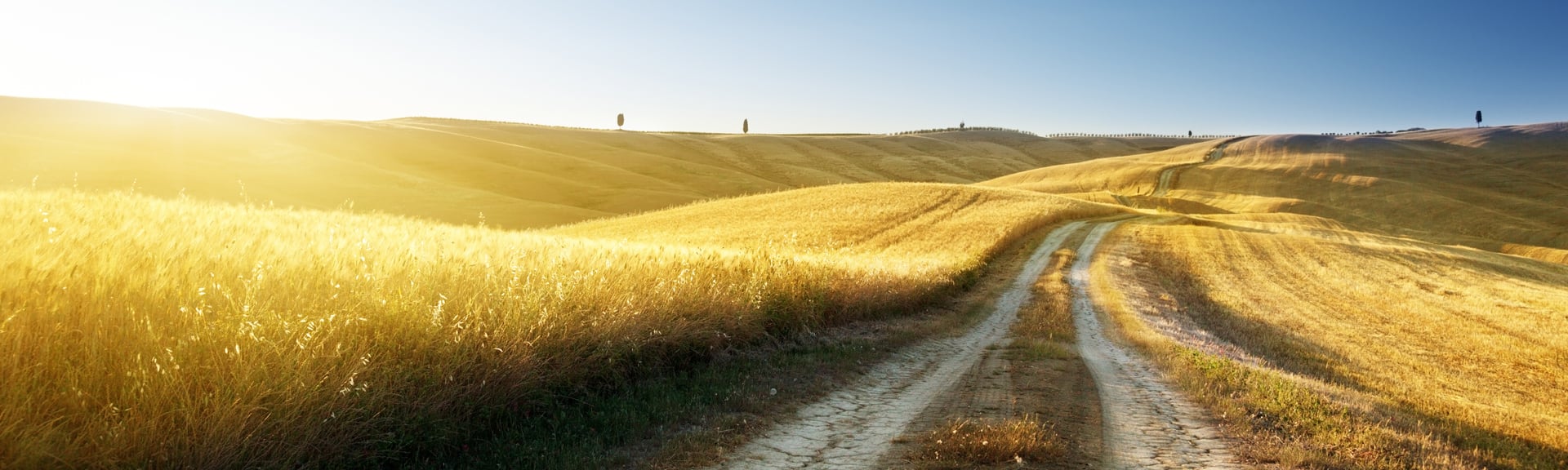 Stilviaggi Tuscany